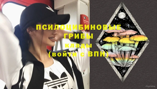 ECSTASY Белоозёрский