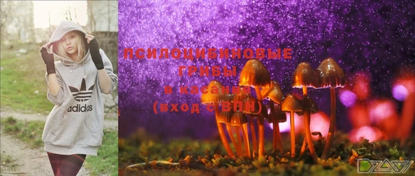 ECSTASY Белоозёрский