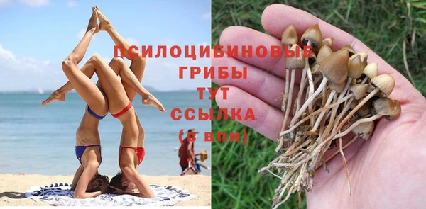 ECSTASY Белоозёрский
