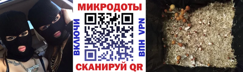 Псилоцибиновые грибы Psilocybine cubensis  Троицк 